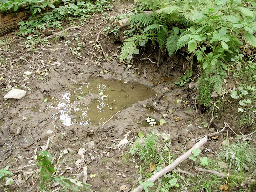 prameniště bez jména (5999)