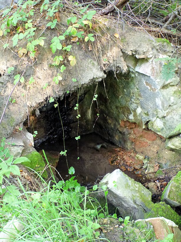 studánka V Mezibořském údolí (6003)