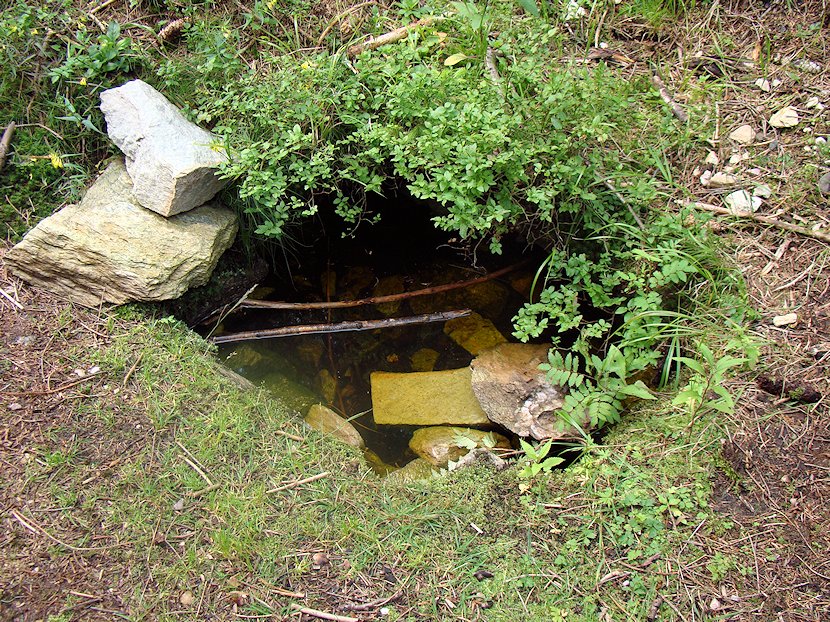 studánka V Koleně (6006)