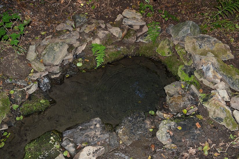 studánka V šipce (6009)