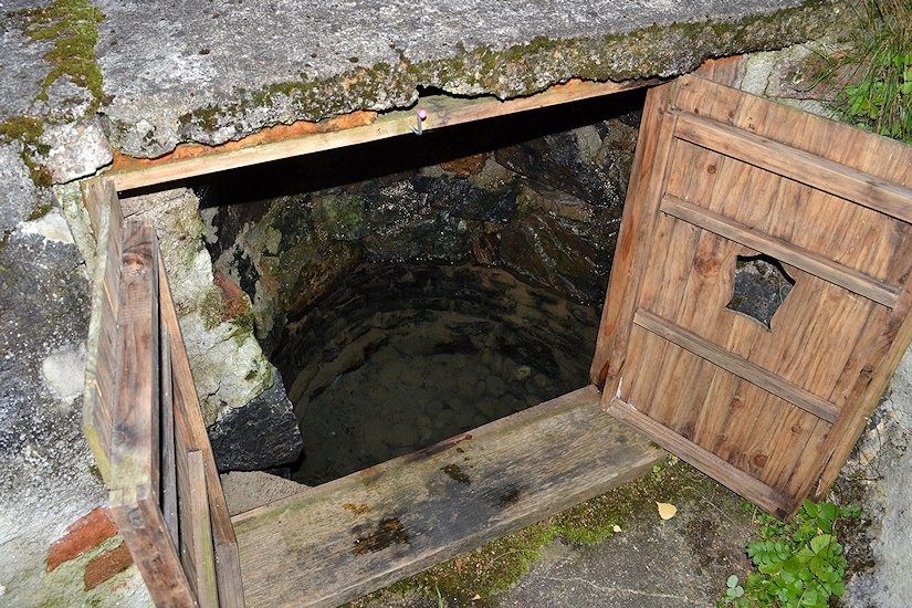 Vlčická studánka (6010)