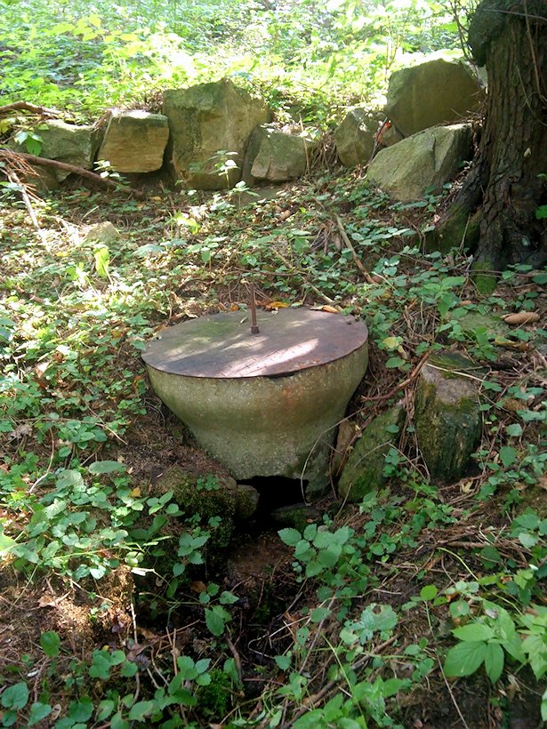 studánka bez jména (6012)