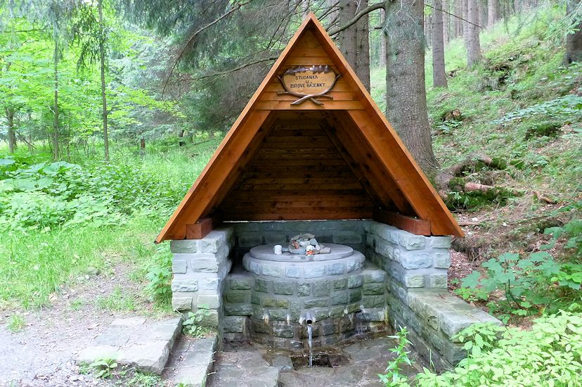 studánka U Zitové hájenky (6015)