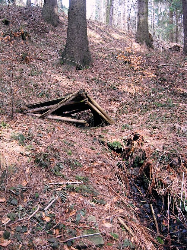 studánka Na Sedle (6020)