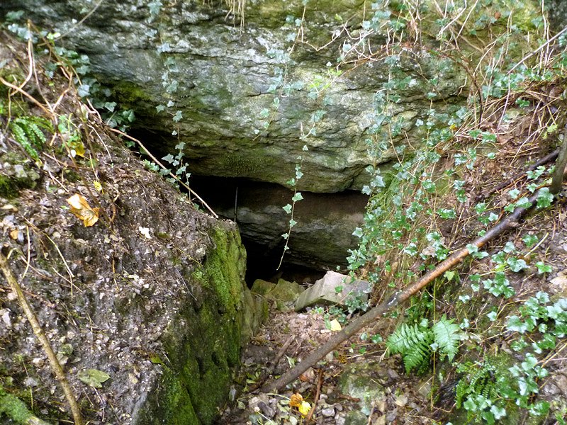 Tetínská vyvěračka (6027)