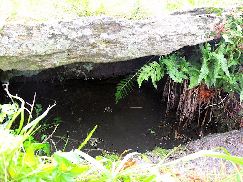 Louženská studánka (6028)