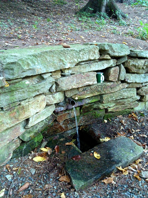 studánka bez jména (6037)