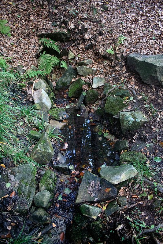 studánka Pod Doubravou (6047)