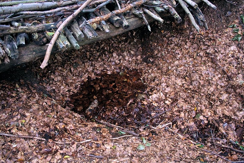 studánka Pod Doubravou II (6048)