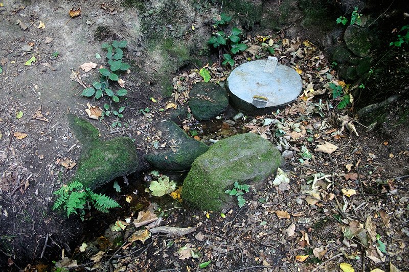 studánka Šuchcova (6049)