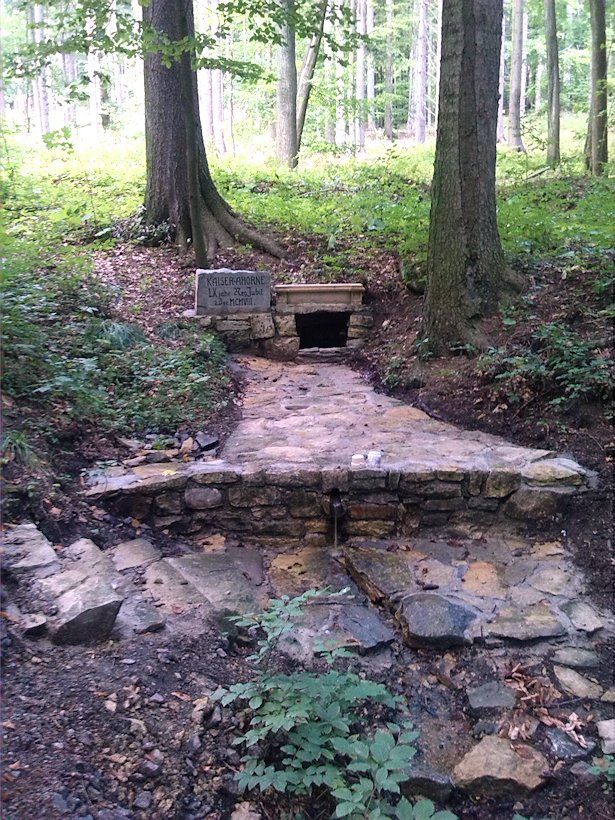 studánka Nad Damníkovskou hájenkou (6057)