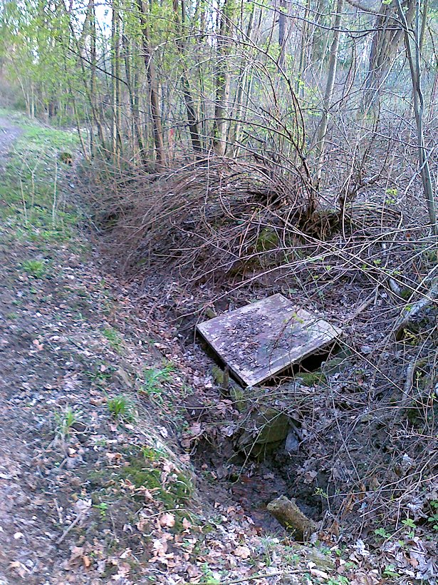 Studánka u Serpentýn (6062)