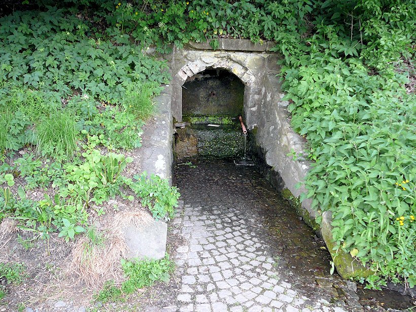 Hoštejnská studánka (6063)
