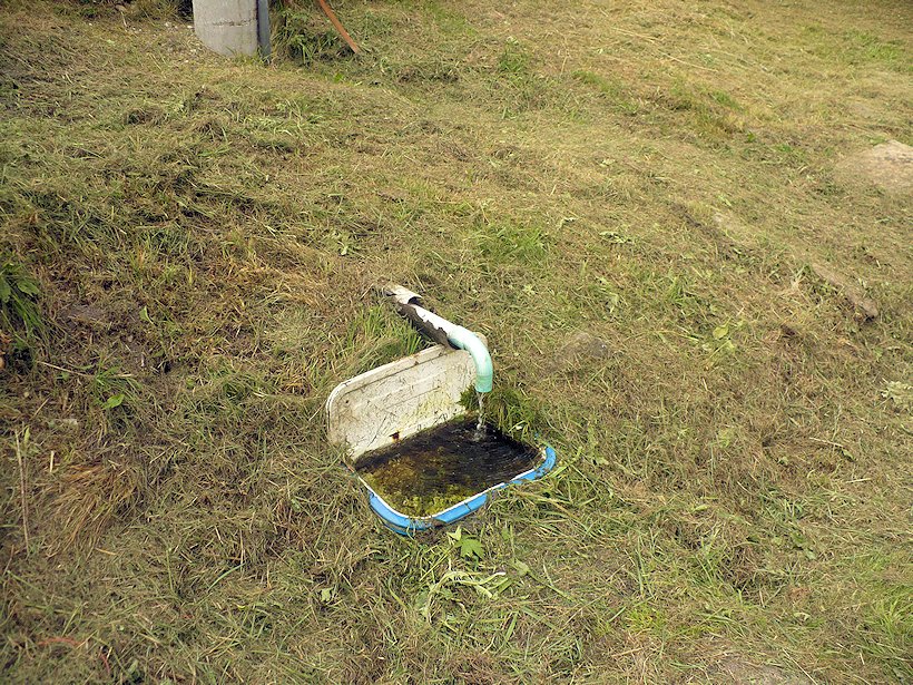 studánka bez jména (6066)