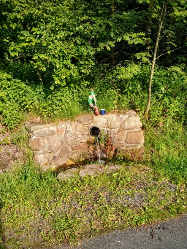 studánka bez jména (6067)