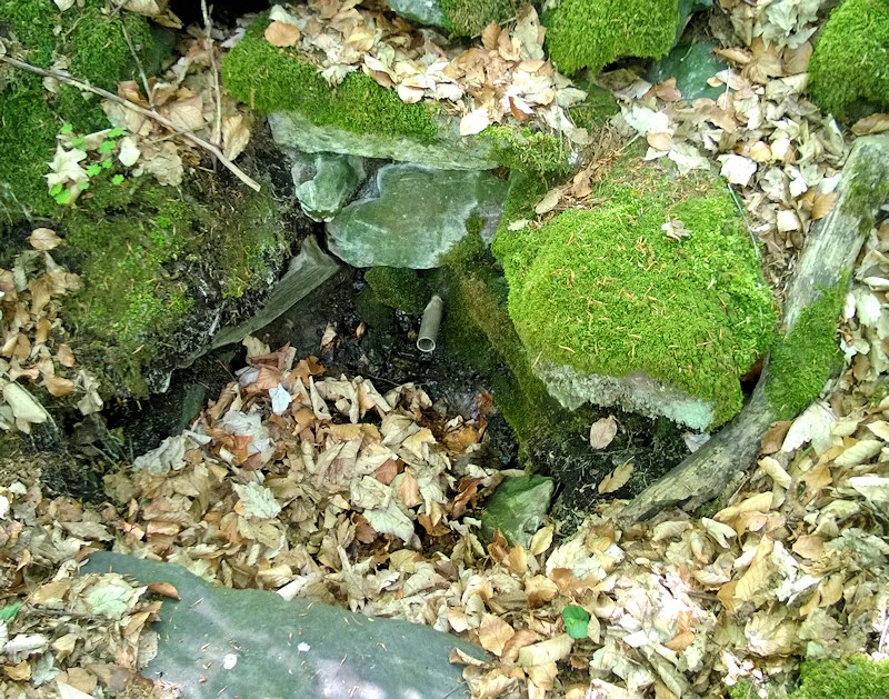 studánka bez jména (6072)