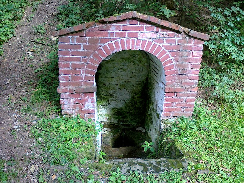 studánka U bývalých lázní (6075)