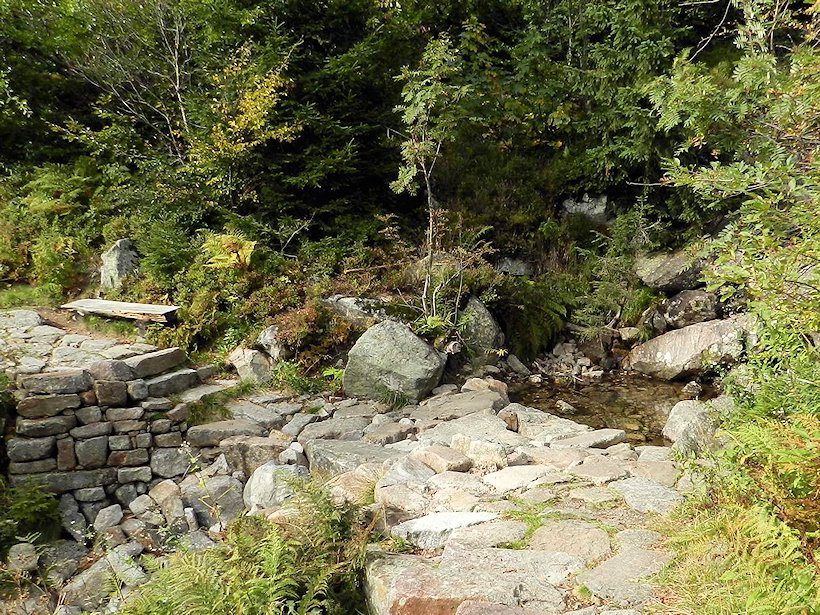 studánka Na Kotelském potoce (6084)