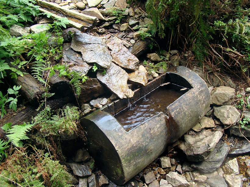 studánka U Staré vozové cesty (6085)