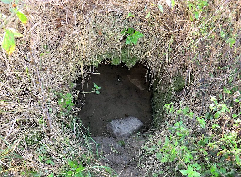 studánka Na Blatech (6098)