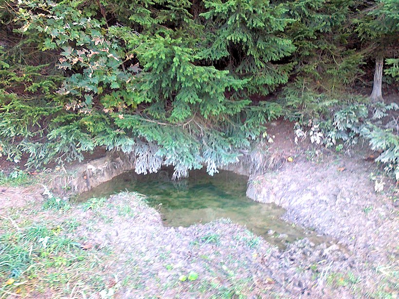 Kančí studánka (6105)