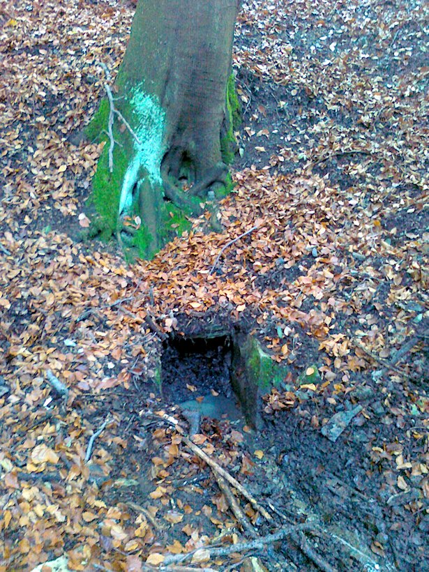 studánka Na Bukové stráni (6106)