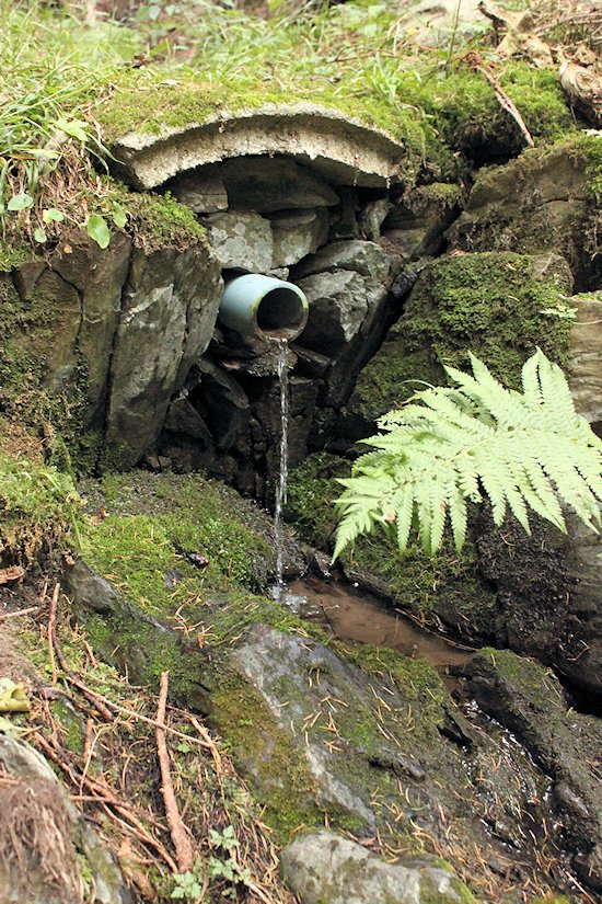 studánka Pod Pěnčínem (6108)