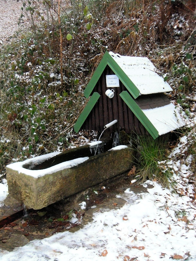 studánka bez jména (6112)