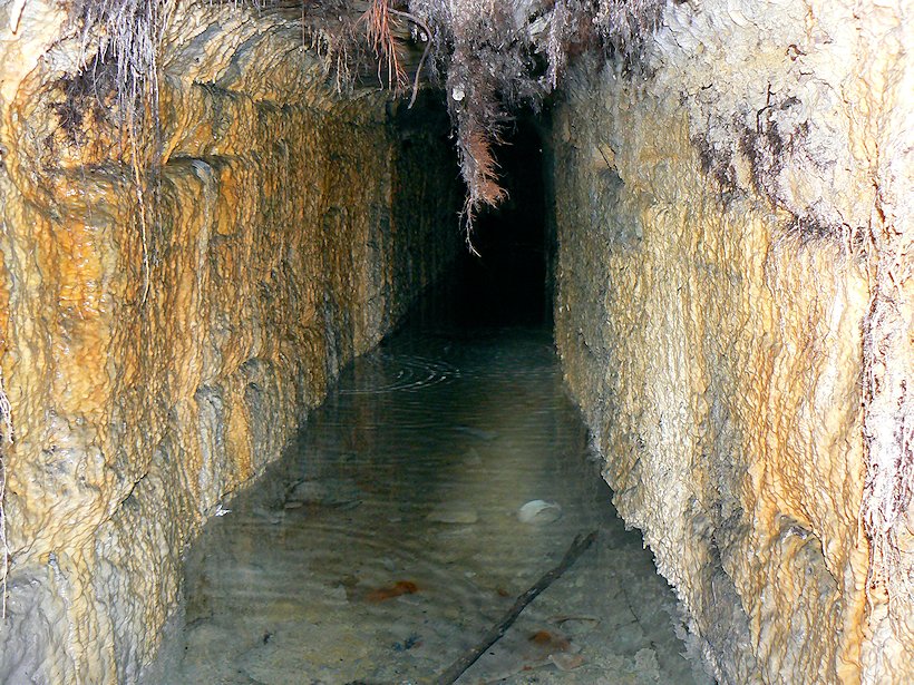 studánka bez jména (6113)