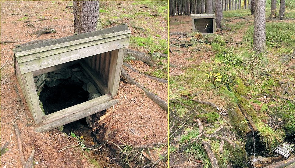 studánka bez jména (6114)