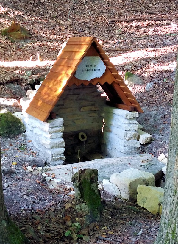 studánka U Spálené boudy (6116)