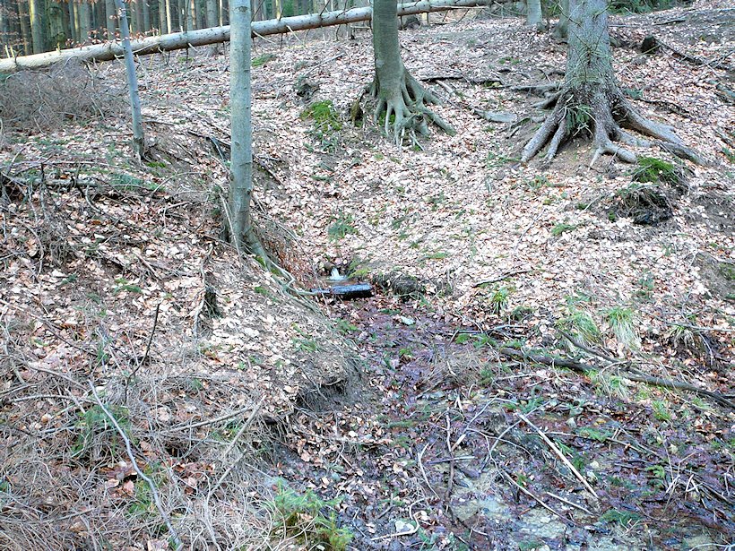 studánka Pod pomníčkem (6117)