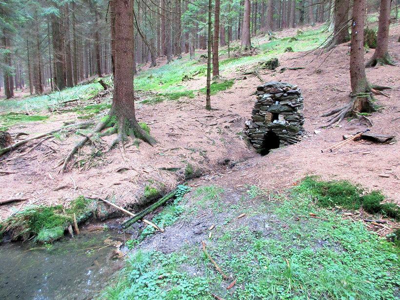 Studánka se zvonečkem (6120)