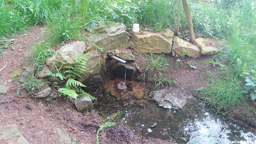 studánka bez jména (6121)