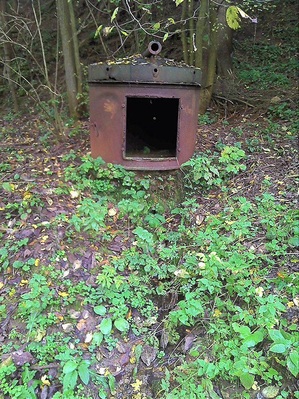 studánka U Voženílkova statku (6131)