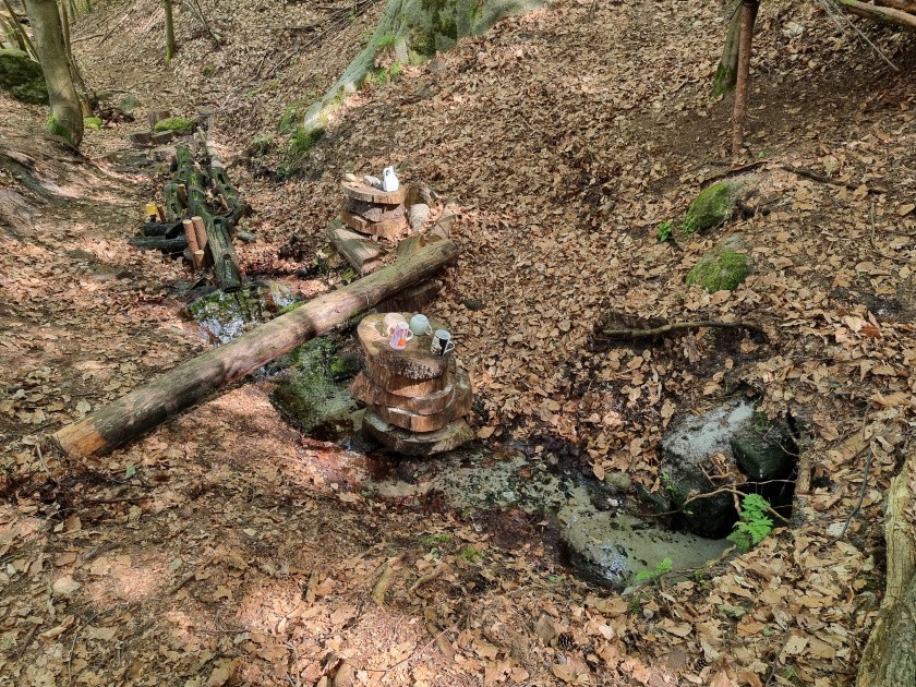 studánka U lesní víly (6133)