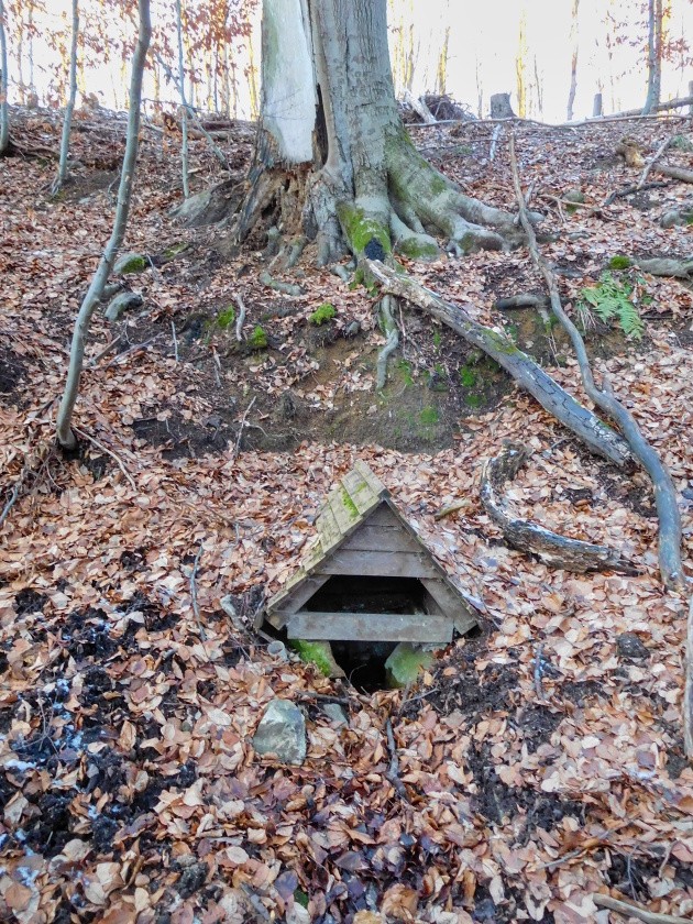 studánka U buku (6137)