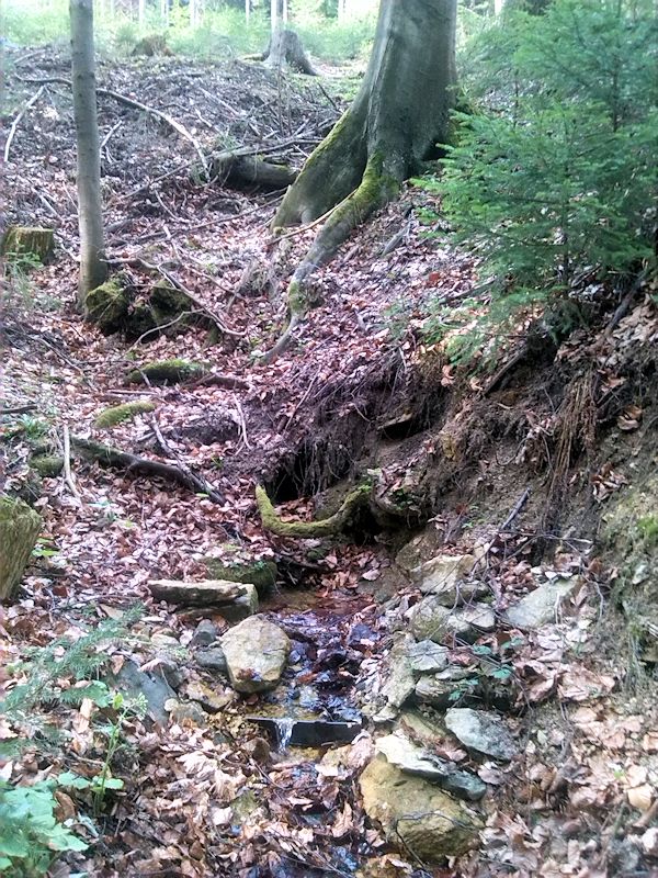 studánka Čechačka (6141)