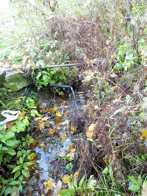 studánka Doubravanka (6148)