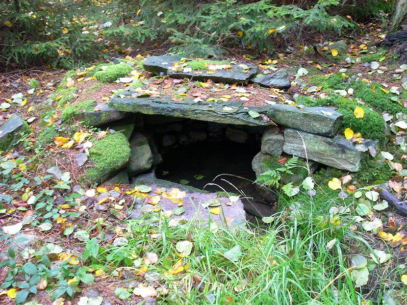 studánka bez jména (6161)