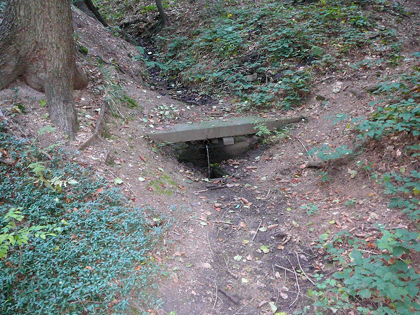studánka U spálené boudy (6167)