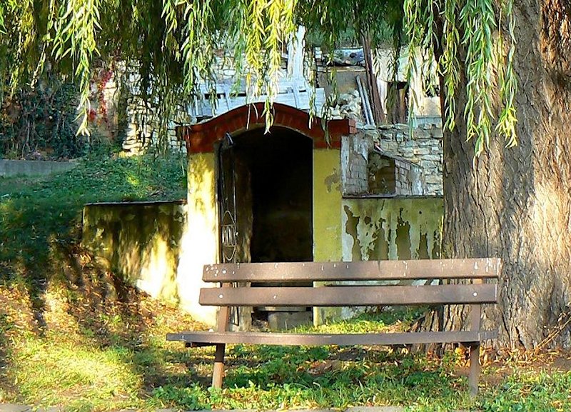 studánka bez jména (6169)