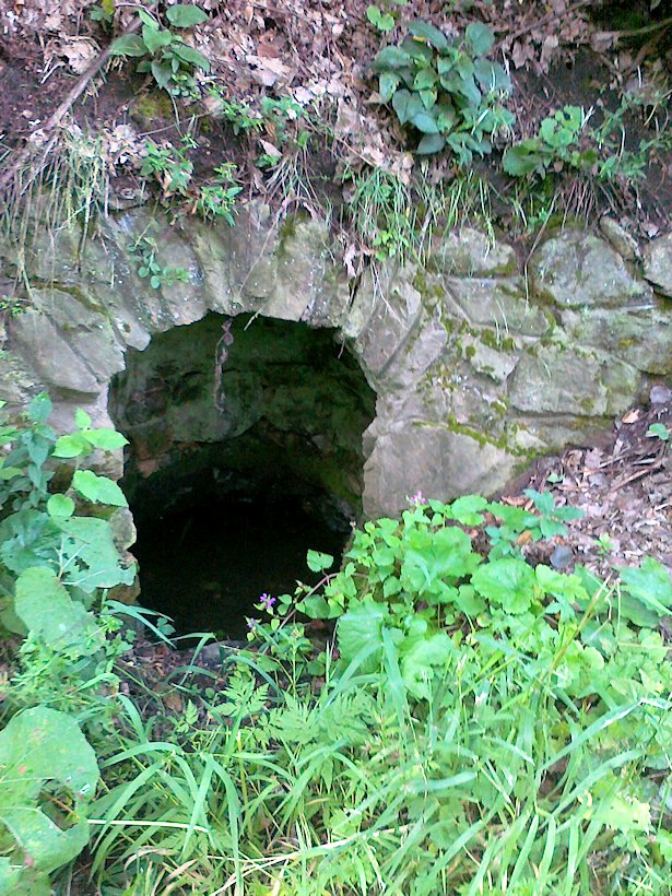 studánka Zeyfská (6194)