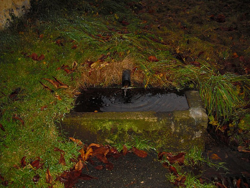 studánka Zvonková  (6207)