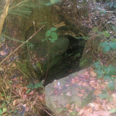 studánka Pod Muchovem (6212)