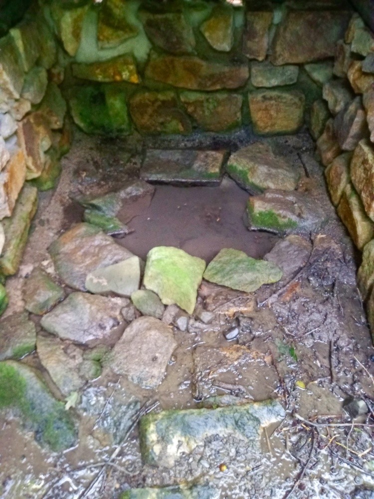 studánka bez jména (6213)