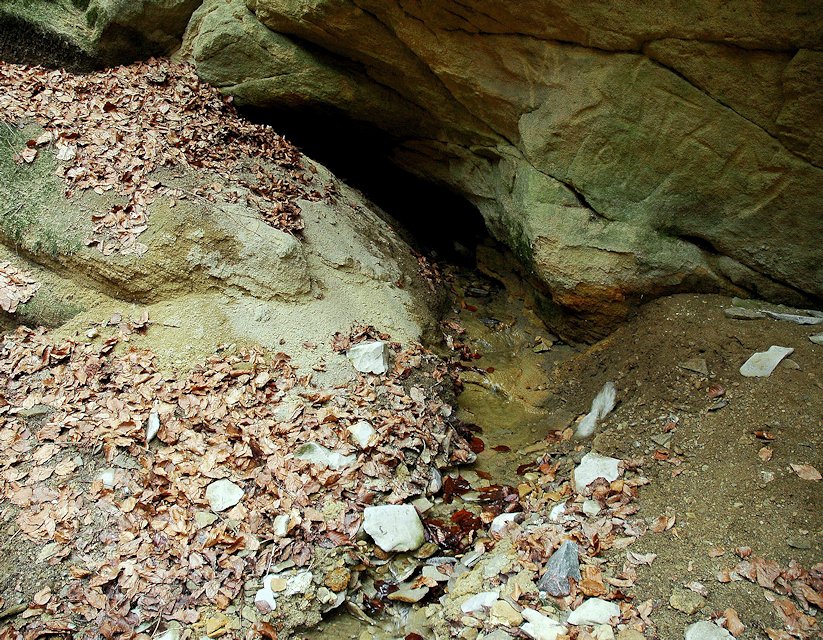 Pivnický pramen (6214)