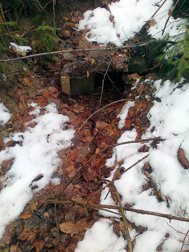studánka Pod Křížovou cestou (6217)