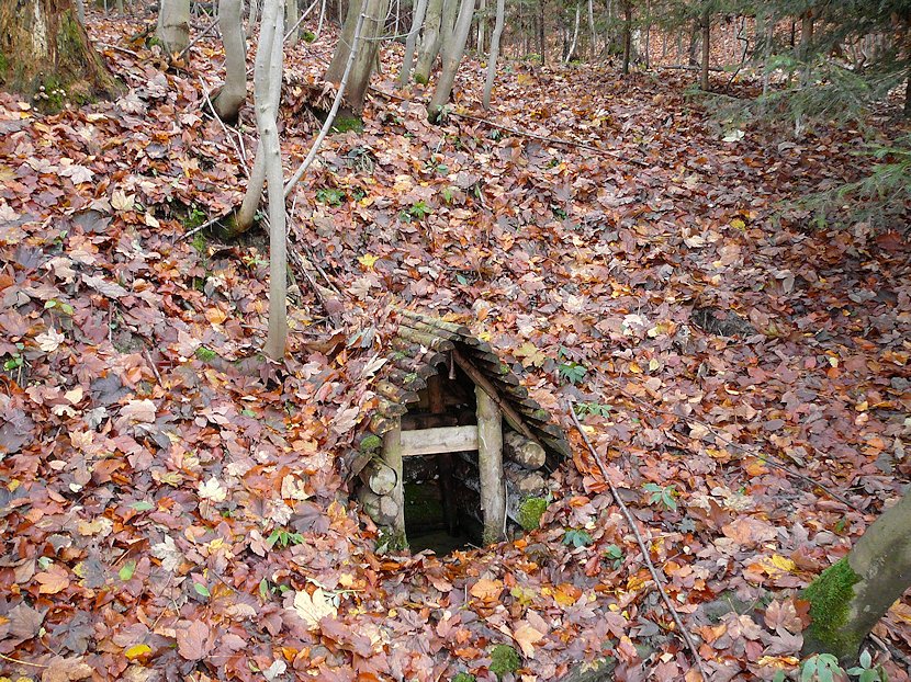 studánka Pod Jezevčí skálou (6224)