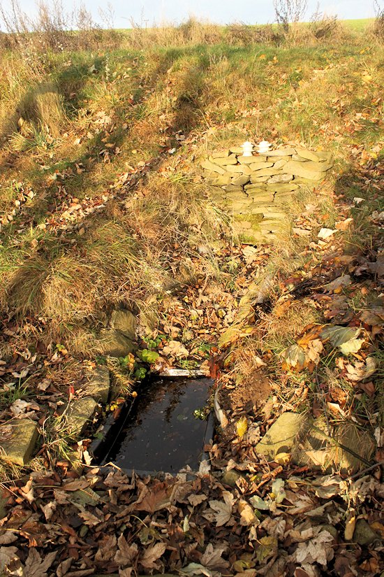 studánka Lipová (6229)